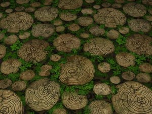 ground leaf 03 CG Textures