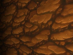 wall rock tile 1 CG テクスチャ