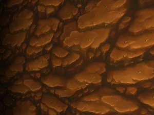 wall rock tile 1 CG Textures