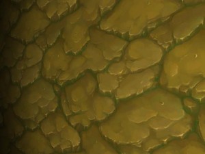wall rock tile 1 CG テクスチャ