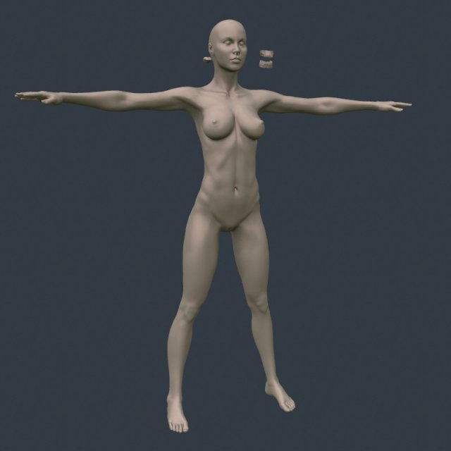 female base woman hi 3D-Modell .c4d .max .obj .3ds .fbx .stl .blend 