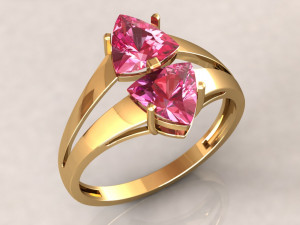 jring2 3D-Druckmodell