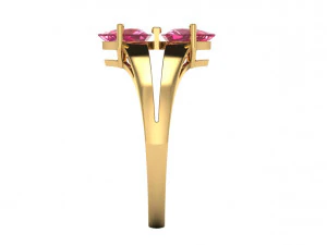 jring2 Model do druku 3D