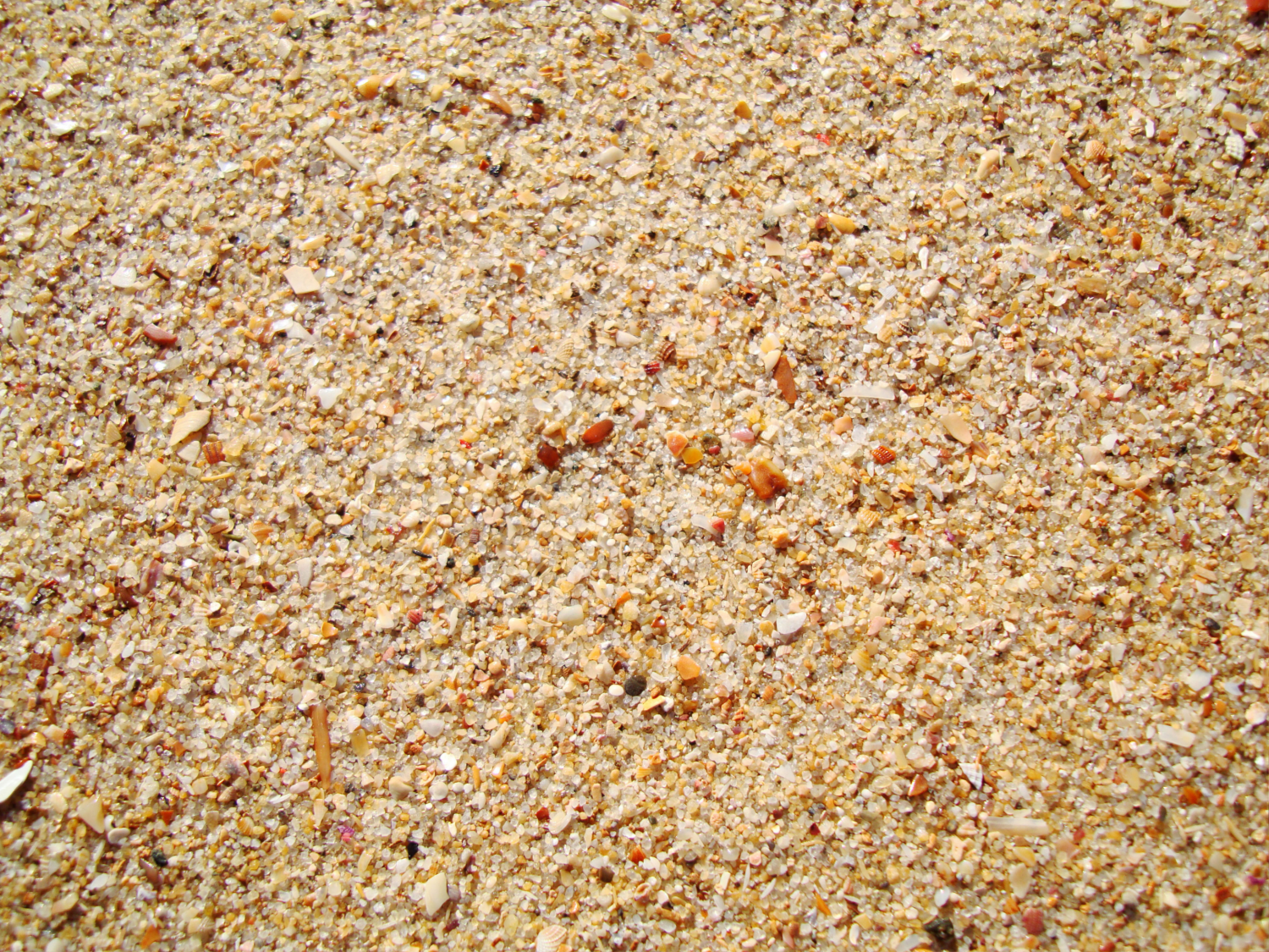 Sand Texture 3d Model In Ground 3dexport