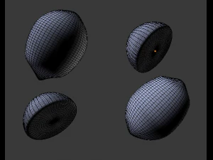 lemon and lime 3D Model