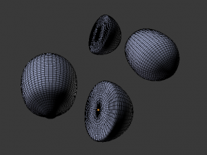 lemon and lime 3D-Modell