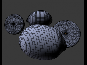 lemon and lime 3D-Modell