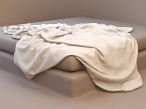 coverlet Model 3D