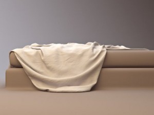 coverlet 3D Model