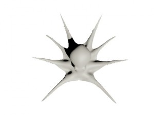 octopus 3D Model