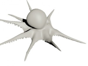 octopus 3D Model