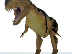 Tyrannosaurus 3D Model