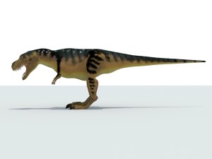 Tyrannosaurus 3D Model