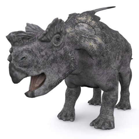 achelousaurus 3D 모델 .c4d .max .obj .3ds .fbx .stl .blend 