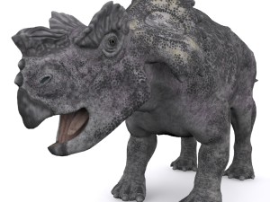 achelousaurus 3D Model