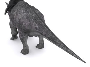 achelousaurus 3D 모델