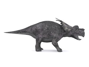 achelousaurus 3D 모델