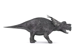 アケロウサウルス 3Dモデル