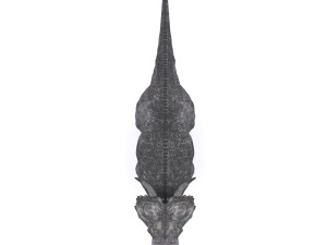 achelousaurus 3D 모델