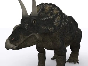 ディケラトプス恐竜 3Dモデル