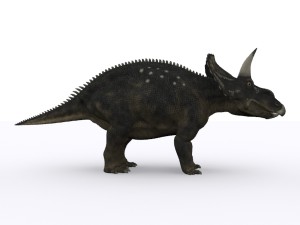 Diceratops dinosaur Modèle 3D