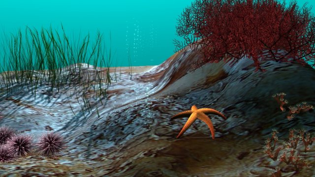 underwater world 3D Model .c4d .max .obj .3ds .fbx .stl .blend 