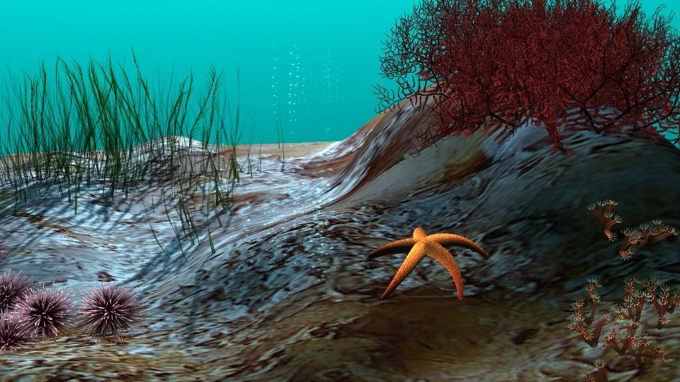 underwater world 3D Model .c4d .max .obj .3ds .fbx .stl .blend 