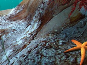 underwater world 3D Model