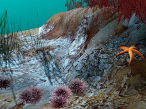 underwater world 3D Model