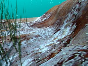 underwater world 3D Model