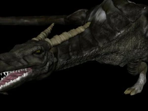 dragon 3D Model
