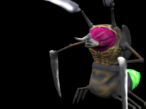 tyrant beetle 3D Model