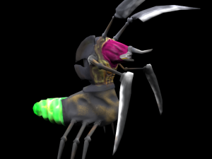 tyrant beetle 3D Model
