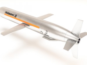 missle tomahawk 3D 模型
