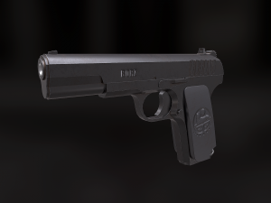 tt-33 3D Model