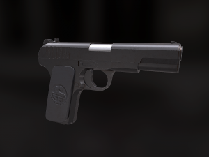 tt-33 3D 모델