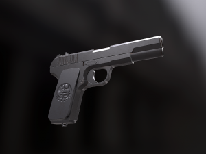 tt-33 3D 모델
