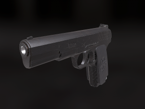 tt-33 3D 모델