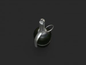 rgd-5 3D Model