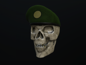 skull special forces chechenia Modèle 3D