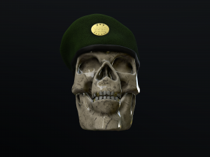 skull special forces chechenia Modello 3D