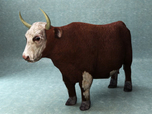 Cow rigged Modèle 3D