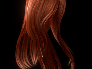 set woman hairstyle 5 types Modèle 3D