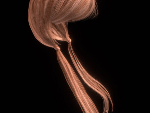 set woman hairstyle 5 types Modèle 3D