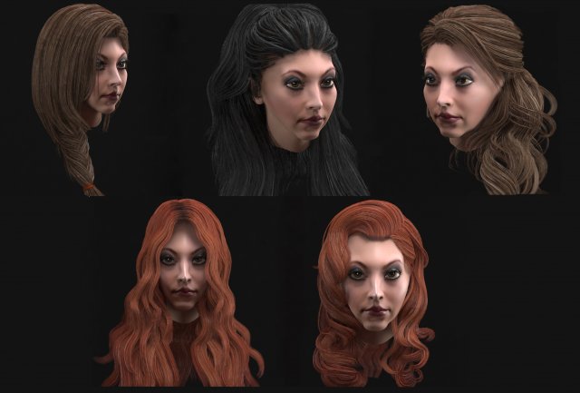 set woman hairstyle 5 types 3D Model .c4d .max .obj .3ds .fbx .stl .blend