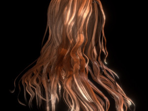 set woman hairstyle 5 types 3D Model