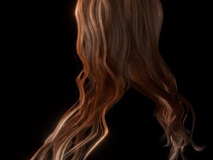 set woman hairstyle 5 types 3D Model