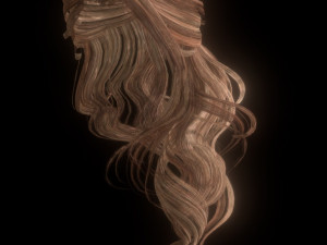 set woman hairstyle 5 types 3D Model