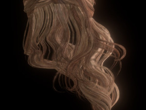 set woman hairstyle 5 types 3D Model