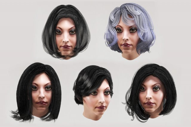 set woman hairstyle 5 types 3Dモデル .c4d .max .obj .3ds .fbx .stl .blend 